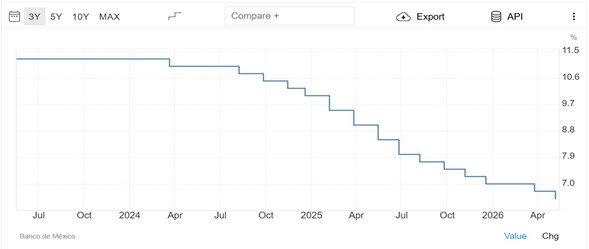 Imagen8